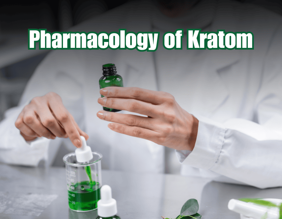 Pharmacology of Kratom: Chemical constituents, Receptors, Amounts, Effects, Potential therapeutic uses, Safety, Interacts with medication