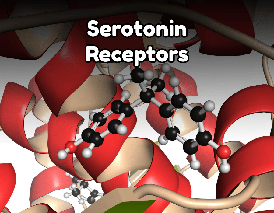 Serotonin receptors