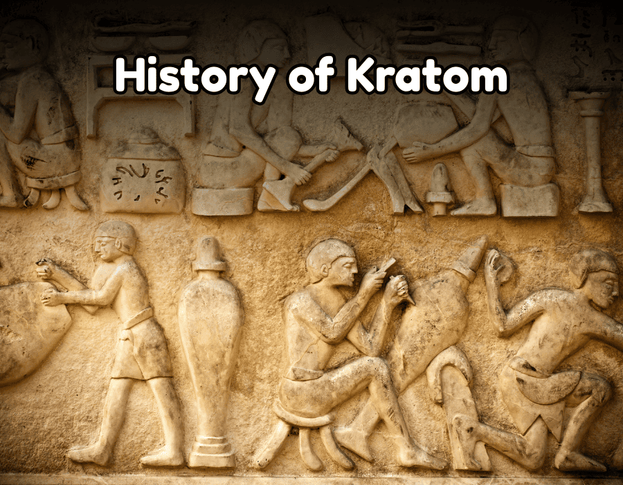 Traditional Use of kratom – History, Traditional Medicine, Ritual and Ceremonial Use, Indigenous Use, Social and Cultural Significance