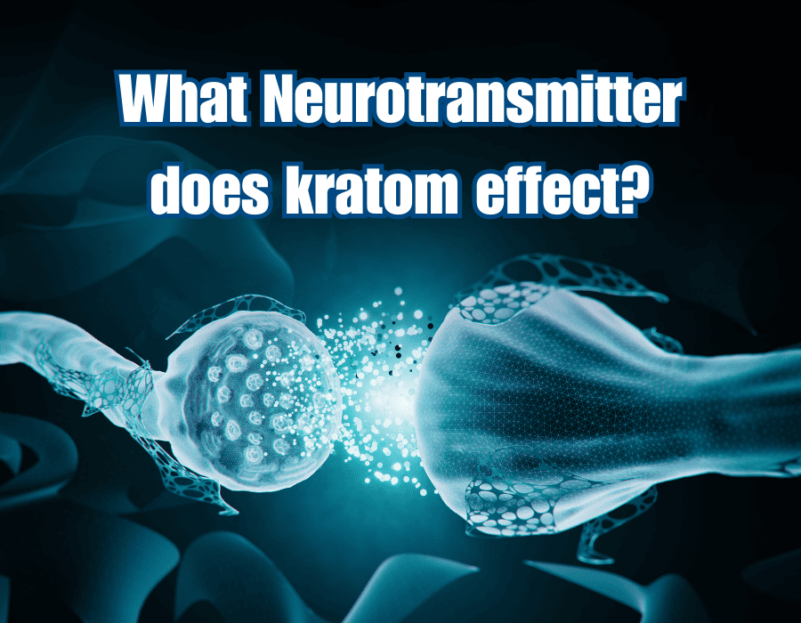 What Neurotransmitter does kratom effect?