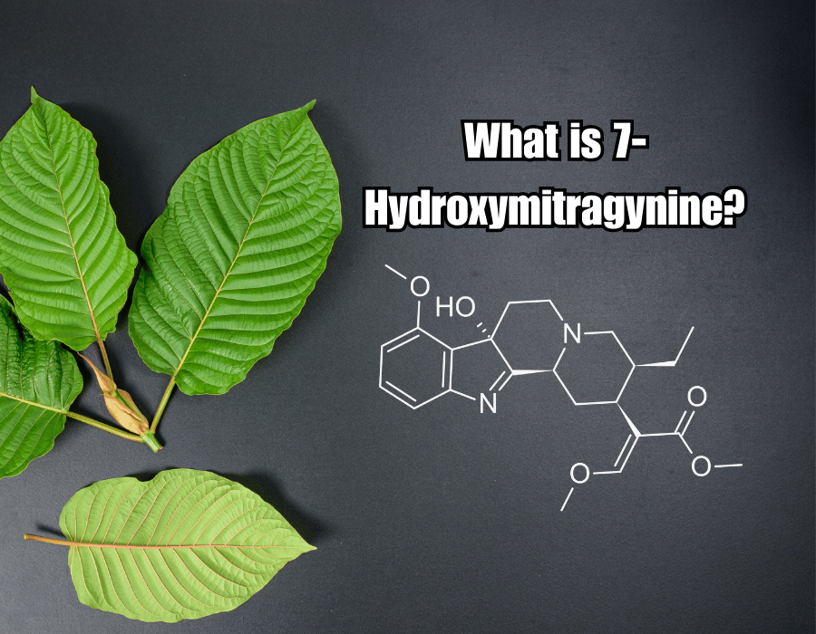 What is 7-Hydroxymitragynine?