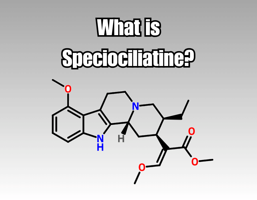 What is Speciociliatine?